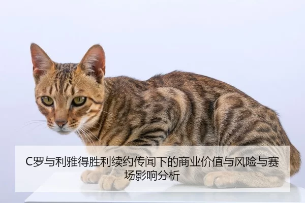 luo-yu-li-ya-de-sheng-li-xu-yue-chuan-wen-xia-de-shang-ye-jia-zhi-yu-feng-xian-yu-sai-chang-ying-xiang-fen-xi-2-672.jpg